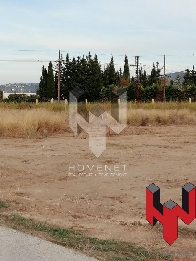 (For Sale) Commercial Plot || East Attica/Anavyssos - 1.053 Sq.m, 300.000€ 