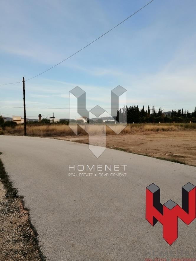 (For Sale) Commercial Plot || East Attica/Anavyssos - 3.019 Sq.m, 750.000€ 